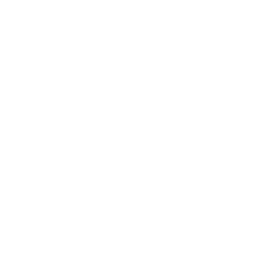 Sea Roamer Marine Services