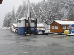 Sea Roamer