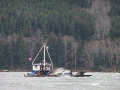 Sea Roamer