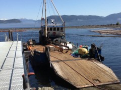 Sea Roamer