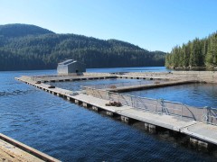 Aquaculture Support
