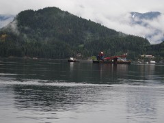 Squamish Warrior