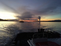 203 at Work