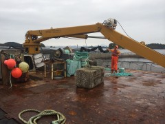 203 at Work