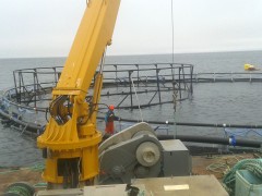 203 Marsh Bay