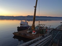 Comox Brave & S.R.M.S. 203